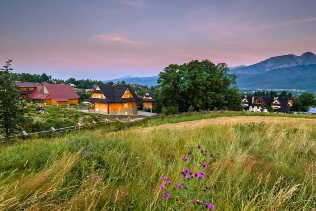 Willa Pitoniowka Z Sauna, Netflix Oraz Xbox One Koscielisko Exterior photo