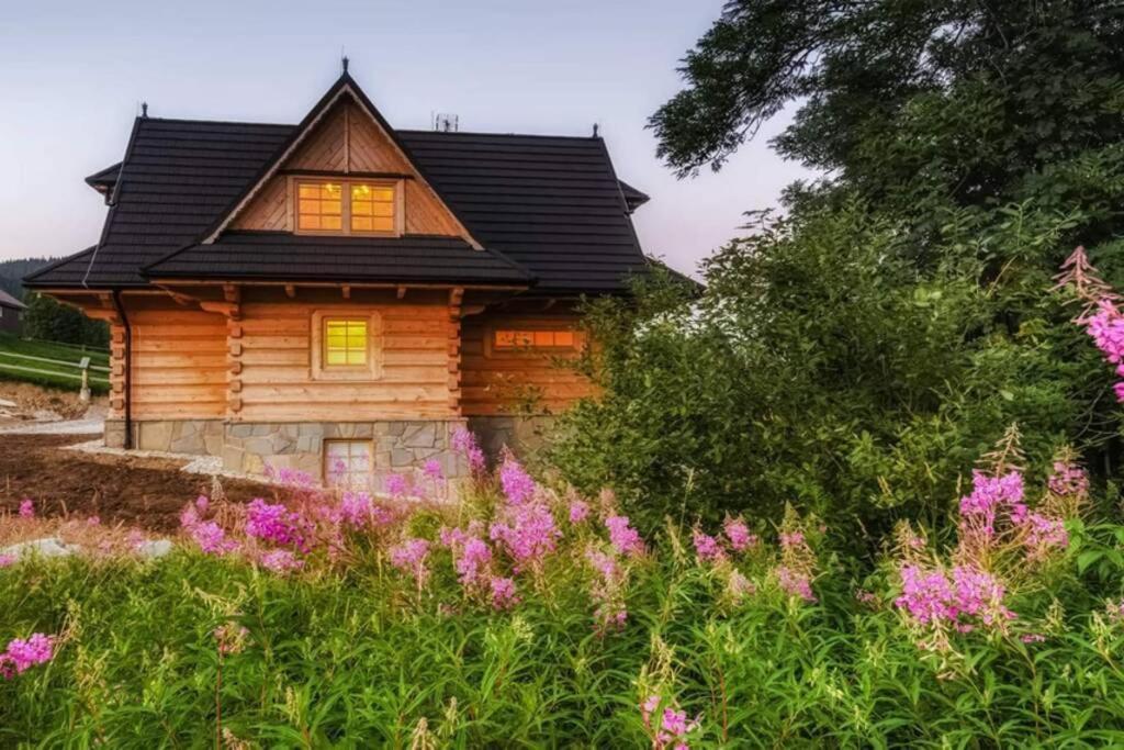 Willa Pitoniowka Z Sauna, Netflix Oraz Xbox One Koscielisko Exterior photo
